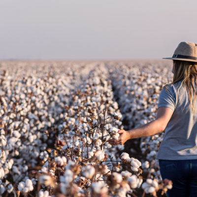 Vicunha amplia oferta de tecidos jeanswear feitos com algodão regenerativo e apresenta novas soluções de produtos sustentáveis para o mercado europeu