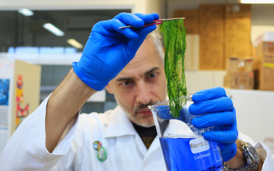 Materiais poliméricos bioadsorventes contendo microalgas da Unicamp são alternativas para o tratamento de águas