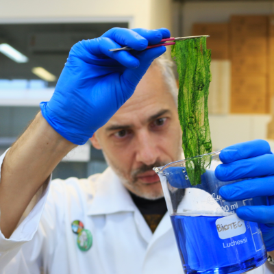 Materiais poliméricos bioadsorventes contendo microalgas da Unicamp são alternativas para o tratamento de águas