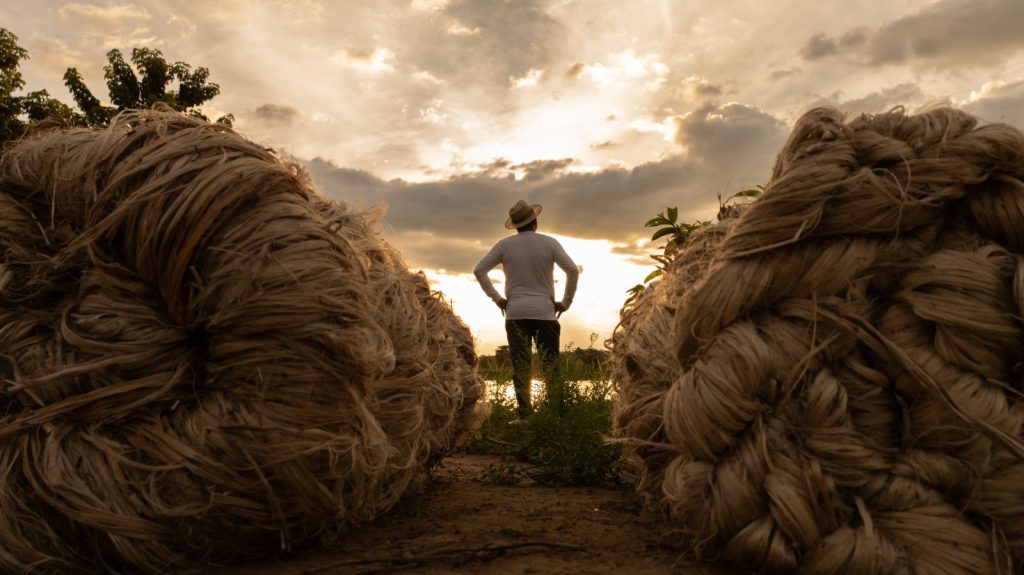 Fibras naturais da Amazônia produzidas pela Castanhal chegam ao tapete vermelho do Oscar em vestido usado por Alice Carvalho