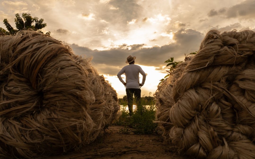 Fibras naturais da Amazônia produzidas pela Castanhal chegam ao tapete vermelho do Oscar em vestido usado por Alice Carvalho